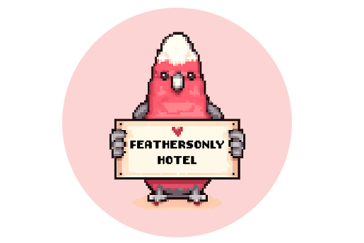feathersonly parrot boarding hotel